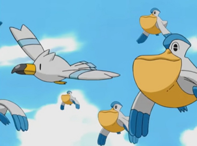 Archivo:EP276 Wingull y Pelipper.jpg - WikiDex, la enciclopedia Pokémon