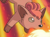 Vulpix