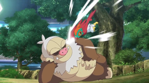 Hawlucha de Ash usando golpe kárate.