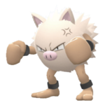 Imagen de Primeape en Pokémon Diamante Brillante y Pokémon Perla Reluciente