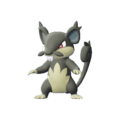 Imagen de Rattata de Alola en Pokémon: Let's Go, Pikachu! y Pokémon: Let's Go, Eevee!