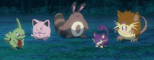 Varios Pokémon que habitan en el bosque.
