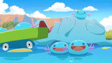 Wooper