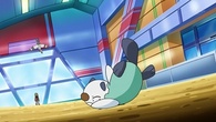Tranquill de Trip activando supersuerte/afortunado al usar golpe aéreo contra el Oshawott de Ash.