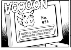 Información de Pikachu.