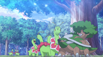 Torterra