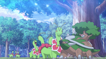 Meganium
