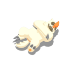 Impaciente variocolor