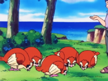 Imagen de Pidgey