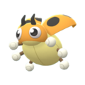 Imagen de Ledyba variocolor hembra en Pokémon Diamante Brillante y Pokémon Perla Reluciente