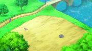 EP806 Lugar donde Serena practica con su Rhyhorn.png