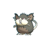 Raticate de Alola