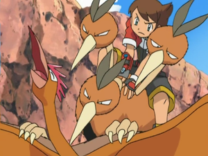 Dodrio de Kellyn/Primo (anime) usando Ataque Furia.
