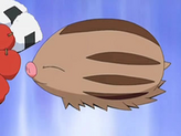 Swinub