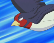 EP384 Swellow.png