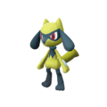 Imagen de Riolu en Leyendas Pokémon: Arceus