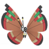 Vivillon isleño