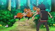 EP1224 Dodrio.png