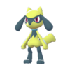 Imagen de Riolu variocolor en Leyendas Pokémon: Z-A