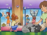Zigzagoon