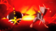 Sharpedo