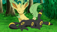EP1138 Leafeon y Umbreon.png