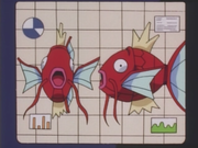 EP111 Magikarp en la pantalla.png