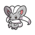 Cinccino
