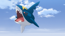 Sharpedo