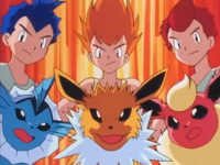 Hermanos Eevee junto con sus Eeveeluciones.