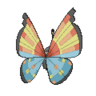 Vivillon océano
