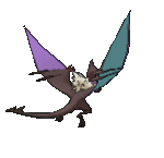 Imagen posterior de Noivern en Pokémon X, Pokémon Y, Pokémon Rubí Omega, Pokémon Zafiro Alfa, Pokémon Sol, Pokémon Luna, Pokémon Ultrasol y Pokémon Ultraluna