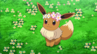 Eevee con una corona de flores.