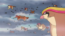 Imagen de Pidgeotto