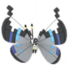Vivillon monzón