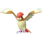 Pidgeotto
