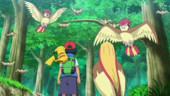 Parvada de Pidgey y Pidgeotto que habitan en el bosque.