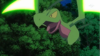 Grovyle de Sawyer/Sabino usando hojas navaja/hoja aguda.