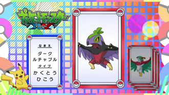 Hawlucha Variocolor