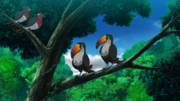 EP1222 Swellow y Toucannon.png