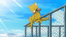 Abra