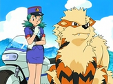 Arcanine