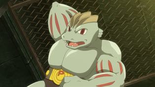 Imagen de Machoke