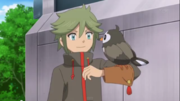 EP881 Ornis junto a Starly.png