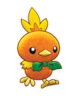 Torchic