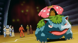 Imagen de Bruteroot