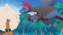 Primeape