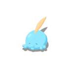 Asintiendo variocolor