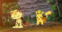 EP901 Error de las patas de Meowth.png