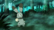 EP1131 Bunnelby.png